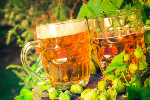 Dos tazas de cerveza tronco de madera — Foto de Stock