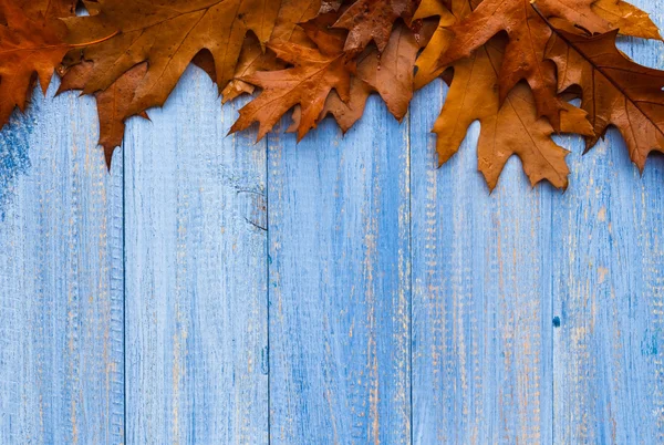 Composizione vintage autunno frutta fondo di legno — Foto Stock