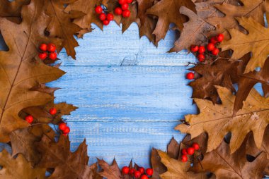 Vintage kompozisyon sonbahar meyve daire ahşap backgrou düzenlenmiş