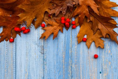 Vintage kompozisyon sonbahar meyve ahşap arka plan