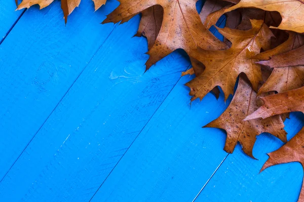 Autunno sfondo foglie tavole blu — Foto Stock