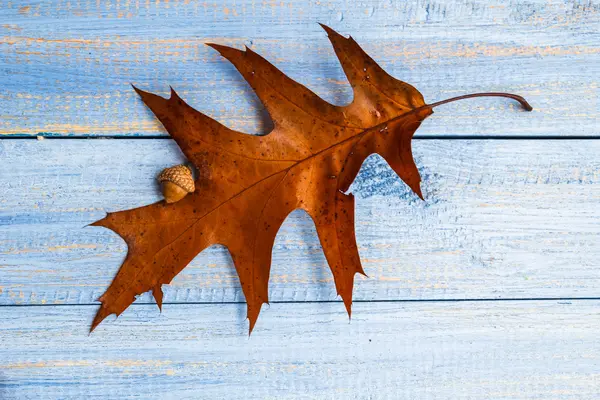 Regalos otoño madera fondo composición vintage — Foto de Stock
