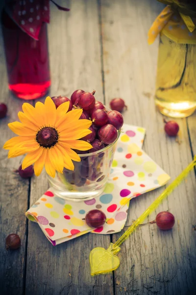 Zomer dessert kruisbes kleurrijke vruchtendranken — Stockfoto