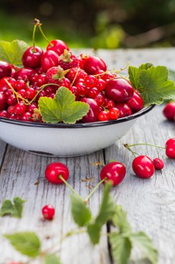 tam çeşitli meyve ahşap arka plan kase