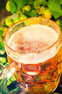 Bira bardağı altın bira ahşap gövde