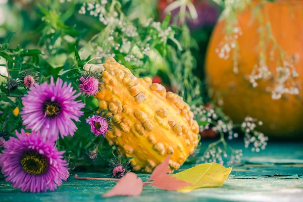 Herfst oogst tuin pompoen vruchten kleurrijke bloemen planten — Stockfoto