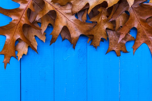 Autunno sfondo foglie tavole blu — Foto Stock
