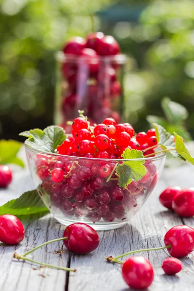 Freshly picked fruits currants cherries table — Stock Photo, Image