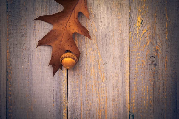 Regali autunno legno fondo vintage composizione — Foto Stock