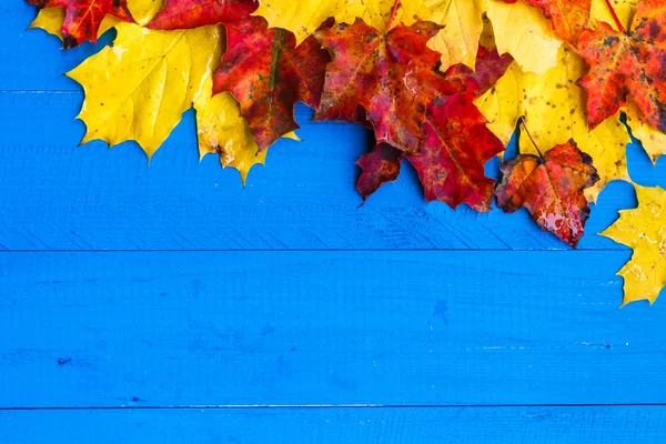 Otoño color de fondo hojas azules tableros — Foto de Stock