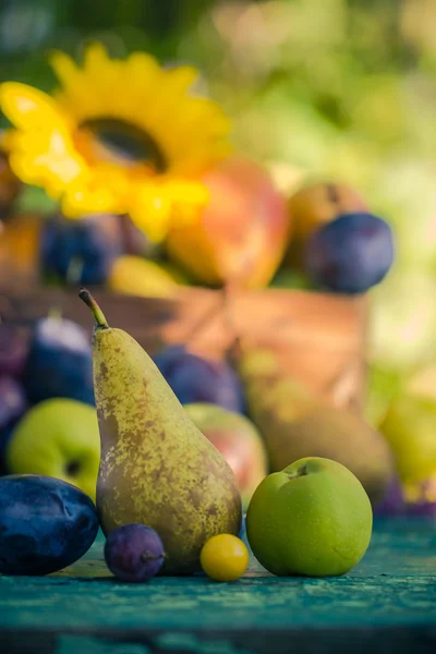 Otoño jardín frutas cesta mesa de madera — Foto de Stock