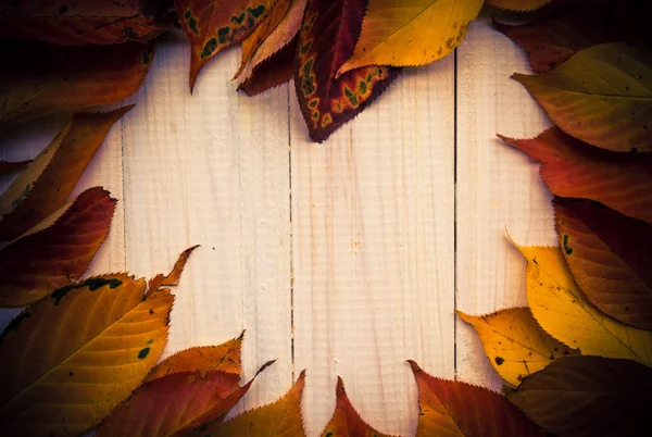 Composizione autunno ardente foglie di arancio tavole bianche — Foto Stock
