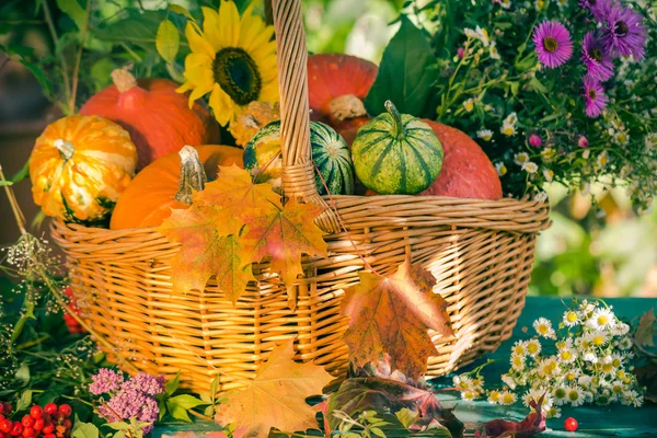 Fall basket autumn harvest garden pumpkin fruits colorful flower — Stock Photo, Image