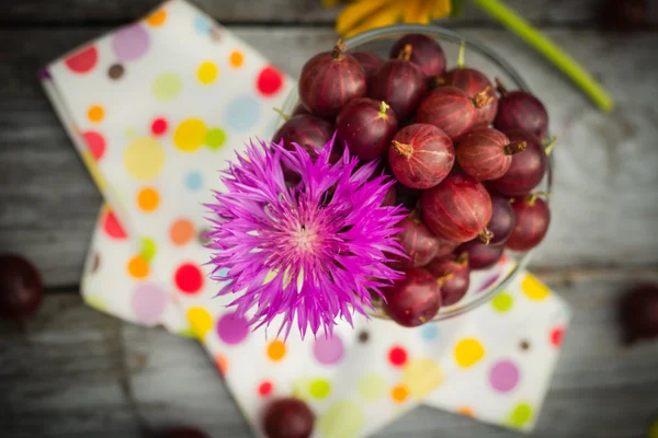 Sommar trä efterrätt frukt krusbär färgglada drinkar — Stockfoto