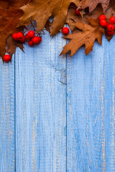 Composizione vintage autunno frutta fondo di legno — Foto Stock