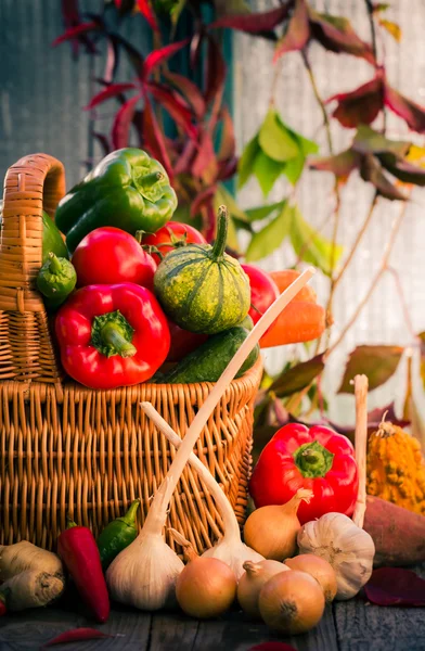 Basket full fresh vegetables rural setting — Stock Photo, Image