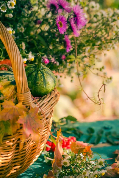 Upadek kosz jesień zbioru ogród owoce dyni kolorowy kwiat — Zdjęcie stockowe