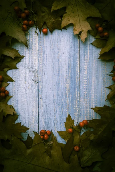 Vintage composizione autunno frutta organizzato cerchio in legno backgrou — Foto Stock