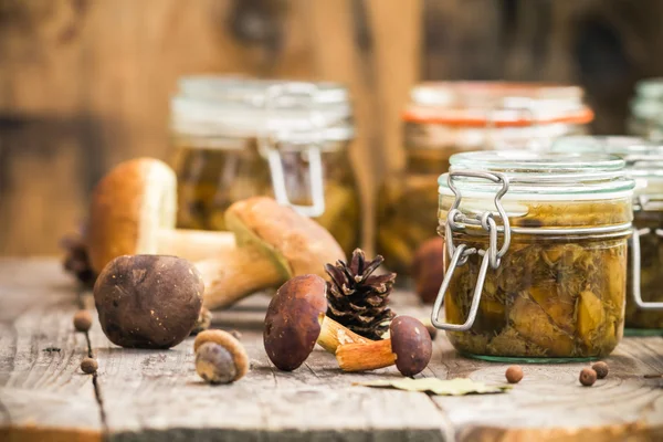 Autumn harvest forest preparation pickled mushrooms — Stock Photo, Image