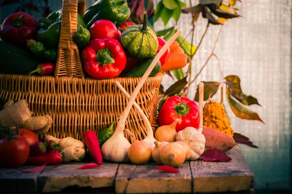 Basket full fresh vegetables rural setting — Stock Photo, Image