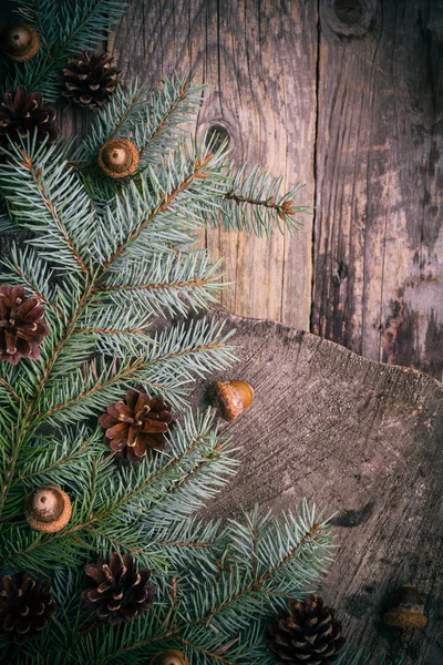 Weihnachtsbaum Fichte Kiefer Holz — Stockfoto