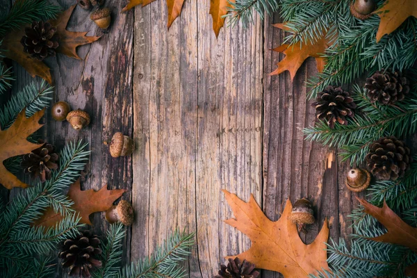 Sapin de Noël épicéa pin en bois — Photo