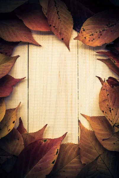 Composition autumn fiery orange leaves white boards — Stock Photo, Image