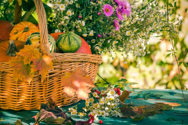 Otoño cesta cosecha jardín calabaza frutas colorido flor —  Fotos de Stock