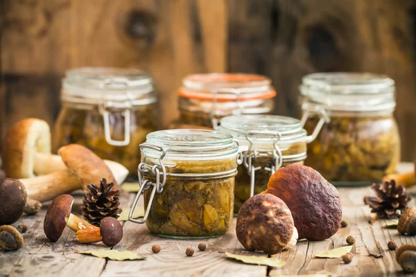 Autumn harvest forest preparation pickled mushrooms Royalty Free Stock Images