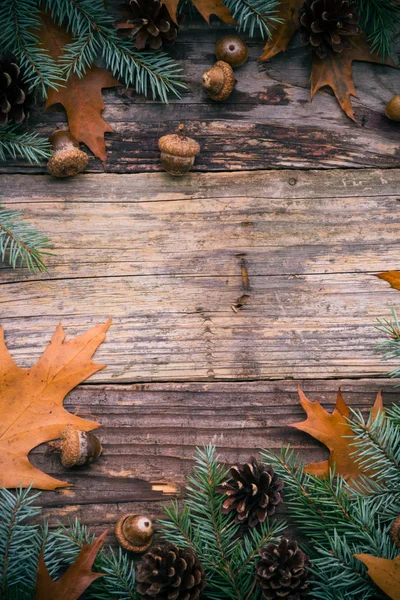 Sapin de Noël épicéa pin en bois — Photo