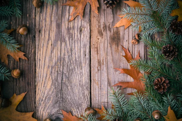 Árbol de Navidad abeto pino madera — Foto de Stock