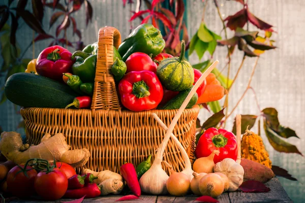 Korg full färska grönsaker på landsbygden — Stockfoto