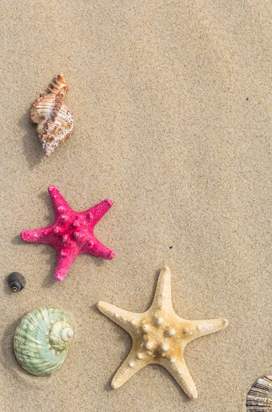 Playa fondo vista superior mar conchas estrellas — Foto de Stock