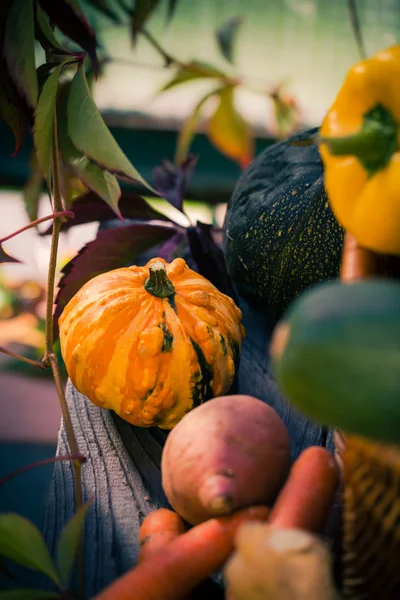 Panier à légumes coloré table en bois — Photo