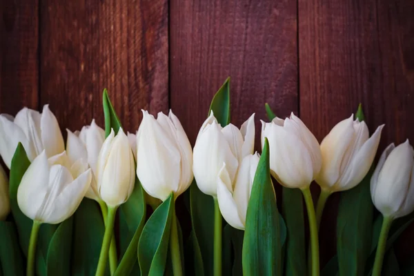 Sztuka projekt streszczenie tło wiosna tulipany drewniane — Zdjęcie stockowe