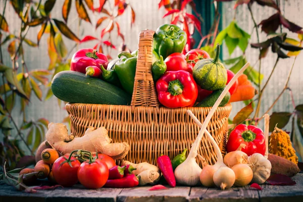 Basket full fresh vegetables rural setting — Stock Photo, Image