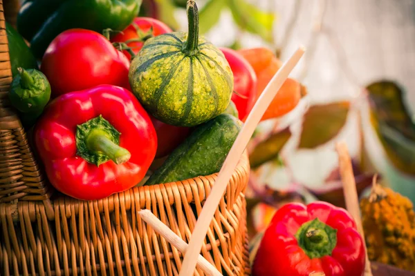 Colorful vegetables basket wooden table — Stock Photo, Image