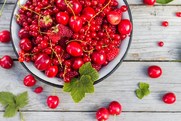 Stahlschale gefüllt Sortenfrucht — Stockfoto