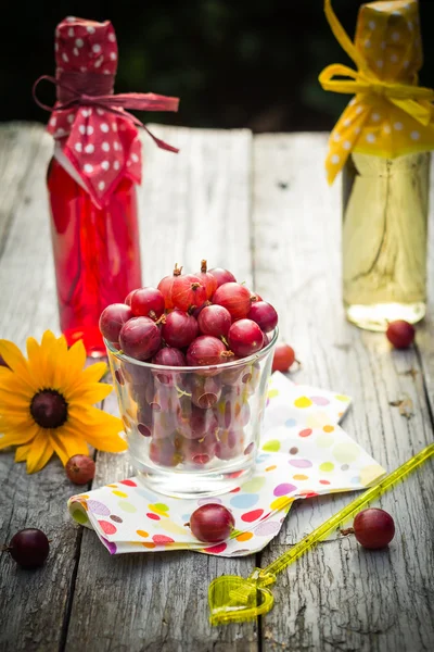 Sommer frisches Dessert Obst Stachelbeere bunte Getränke hölzerne — Stockfoto