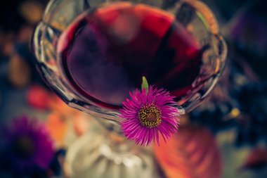 Aromatik alkol Kupası tentür chokeberry