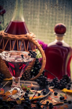 Hediyeler sonbahar mutfak tatlı aromatik içecek tentür chokeberry