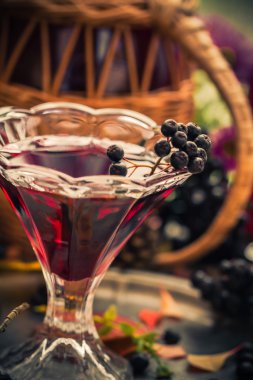 Hediyeler sonbahar mutfak tatlı aromatik içecek tentür chokeberry