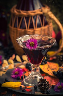 Hediyeler sonbahar mutfak tatlı aromatik içecek tentür chokeberry