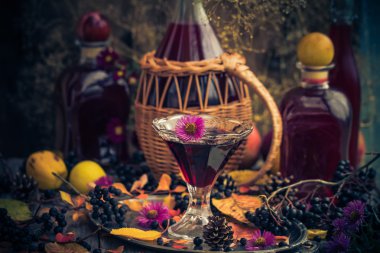 Hediyeler sonbahar mutfak tatlı aromatik içecek tentür chokeberry