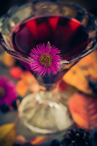 Aromatic alcohol cup tincture chokeberry — Stock Photo, Image