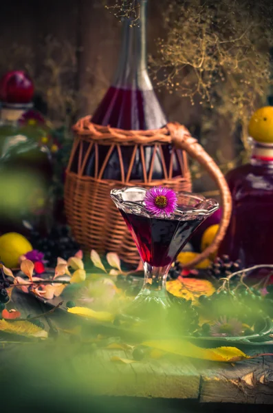 Geschenken herfst keuken zoete aromatische drankje tinctuur-chokeberry — Stockfoto