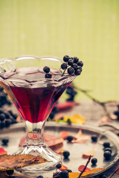 Skla tinktura černoplodá sušená podzimní vinobraní styl — Stock fotografie
