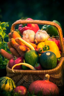 sepeti renkli sebze çim Bahçe