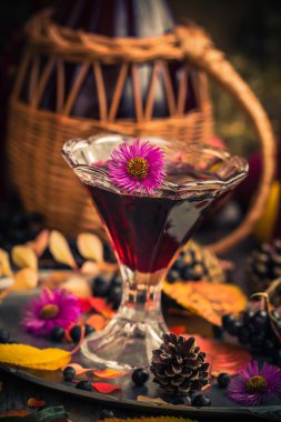 Hediyeler sonbahar mutfak tatlı aromatik içecek tentür chokeberry