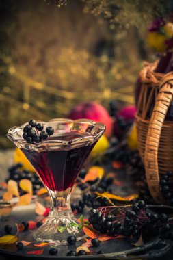 Hediyeler sonbahar mutfak tatlı aromatik içecek tentür chokeberry